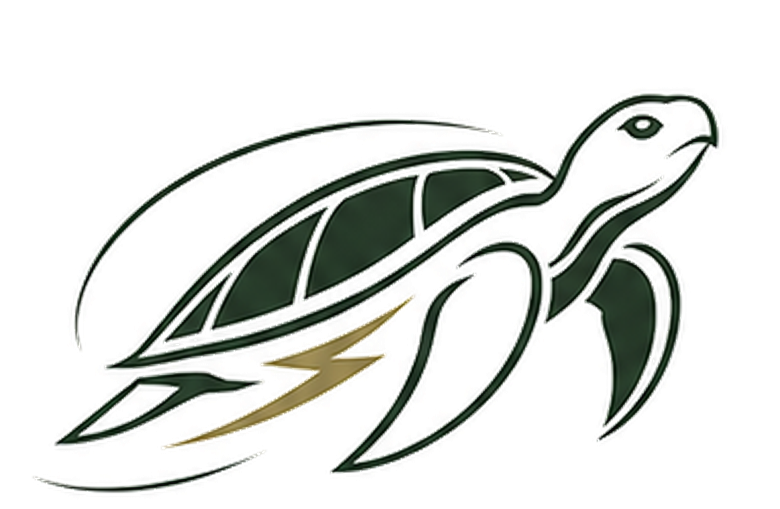 Trying Turtle